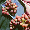 Red Grapes Seedless - 1 KG